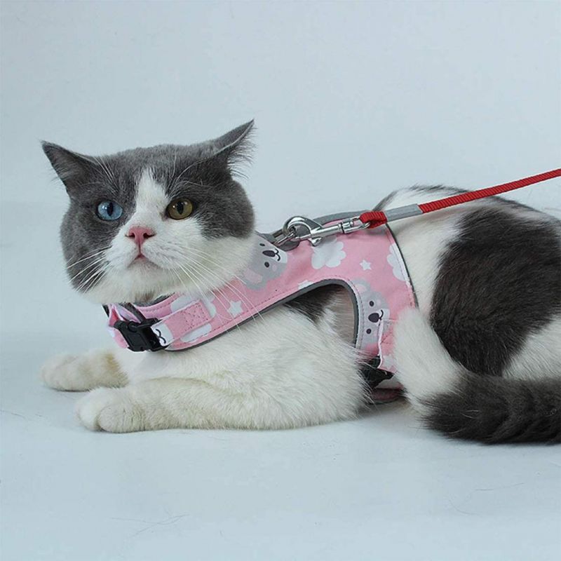 Soft Breathable Mesh Cat Harness with Leash Set