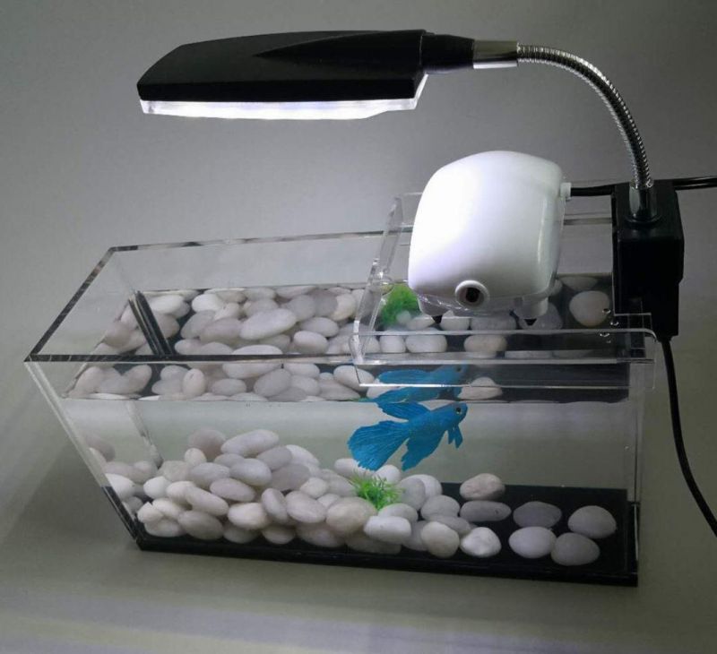 2020 Factory Directly Supply Acrylic Square Aquarium Can Be Customized Transparent Manufacturers Direct