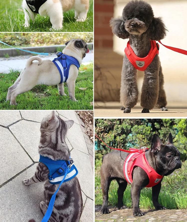Wholesale 2021 New Pet Dog Harness Fashion Soft Mesh Padded Pets Leash Vest with Rope for Small and Medium Dogs Drop Shipping