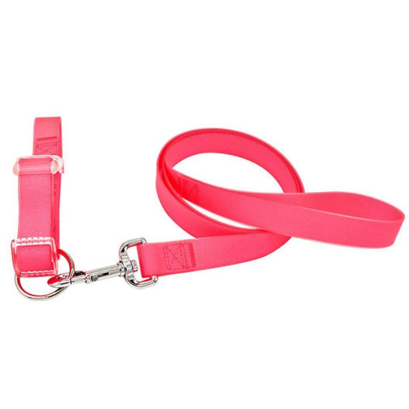 Waterproof TPU Coafed Nylon Webbing Dog Collar and Leash