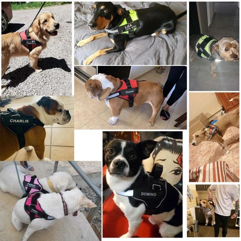 Dog Harness Nylon Adjustable Customize Dog Name for Dogs Vest