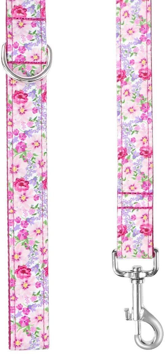Super Adorable Prints Heavy Duty Dog Leash, Strong Western Leashes