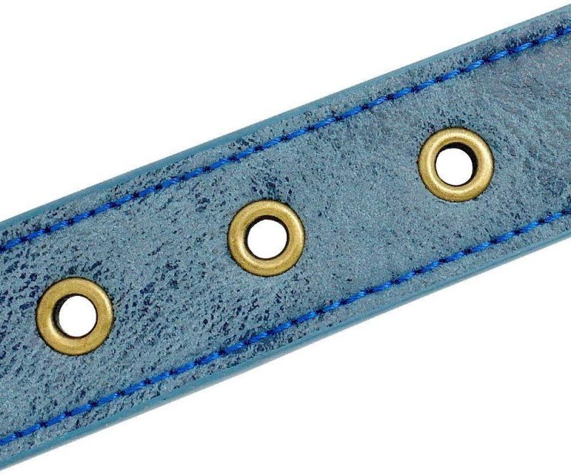 Sharp Spiked Studded Dog Collar - Stylish Leather Dog Collars