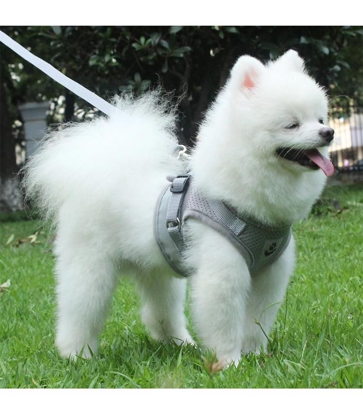 Soft Mesh Dog Harness Ajustable Custom Logo Pattern Personalized Pet Dog Harness Set