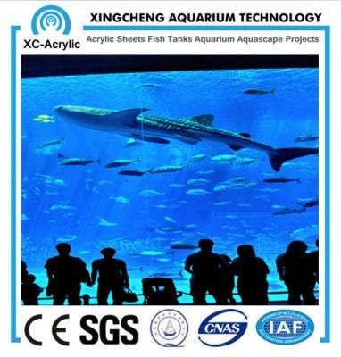 Saltwater Aquarium/Most Impressive Aquariums/Transparent Flexible Acrylic Sheet