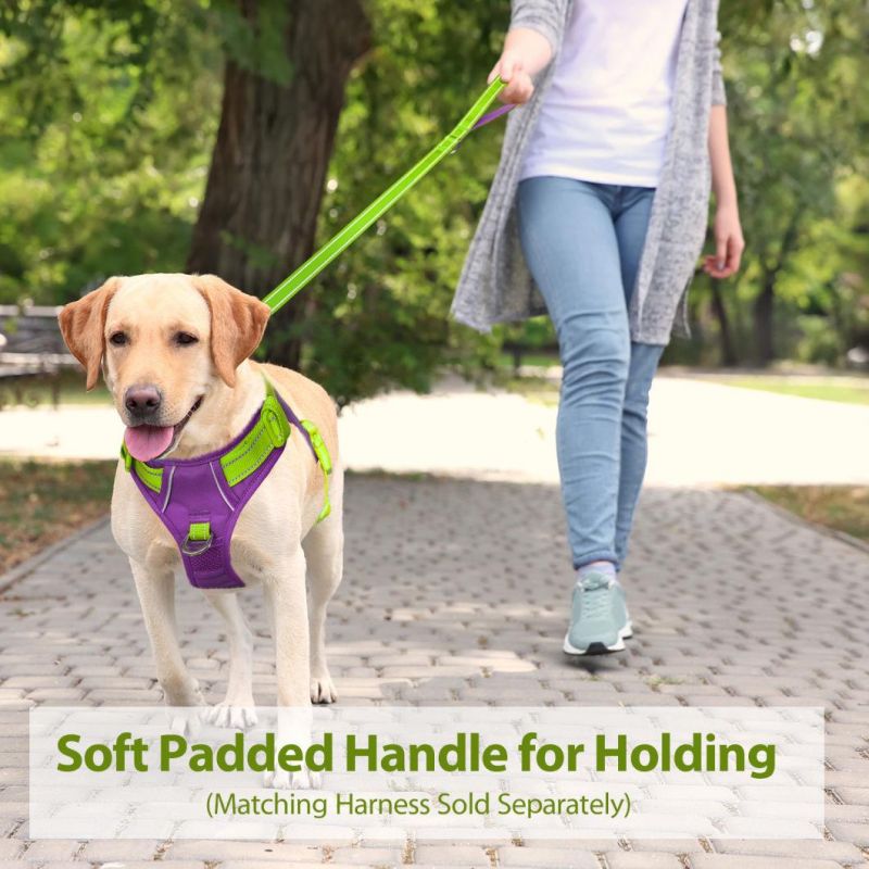 Reflective Dog Leash with Soft Padded Handle for Training, Walking Lead for Large & Medium Dog
