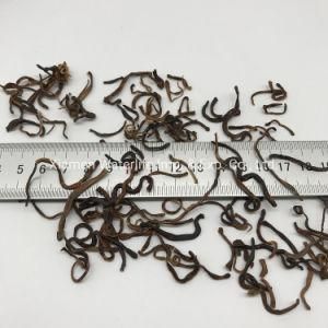 Dried Earthworm for Fish and Bird