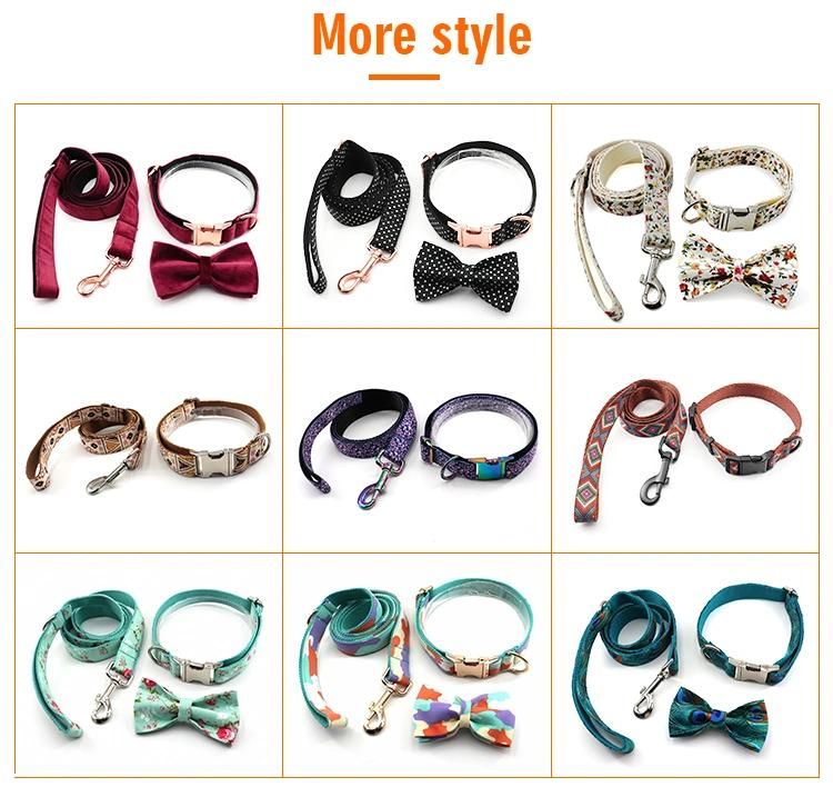 Outdoor Training Adjustable Dog Chest Strap Harnais Pour Chien Pet Harness Dog High Quality Pet Product Dog Harness Pet