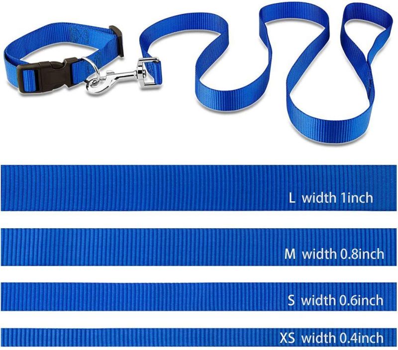 Easy on Ad off Basic Dog Collar and Leash Set