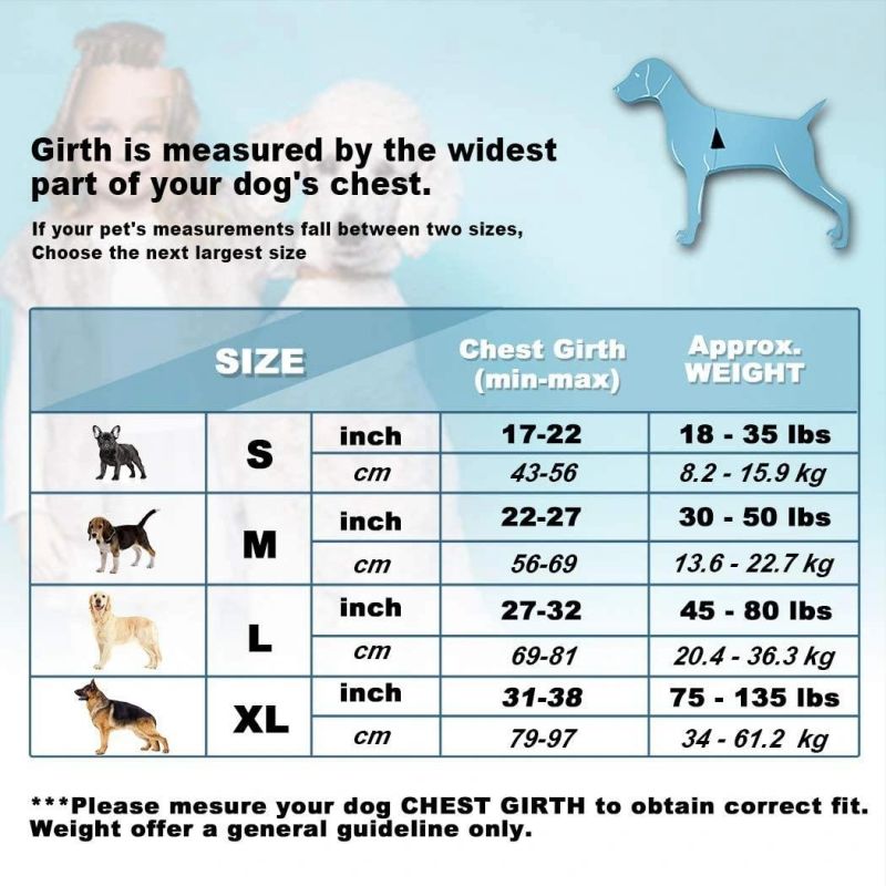 Mesh Dog Harness with 2 Sturdy Metal Leash Attachment