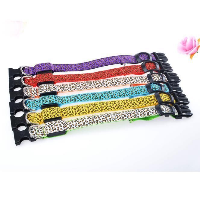 Adjustable USB Rechargeable Glow Light up LED Pet Dog Collar for Small Medium Dog