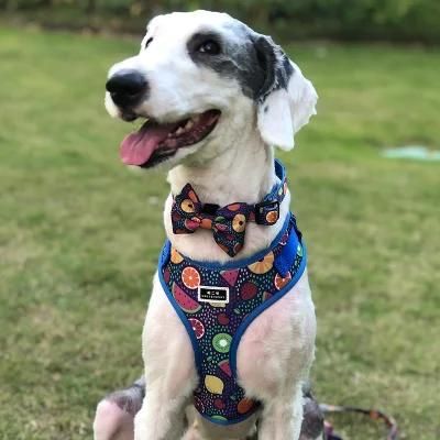Personalized Sublimation Dog Accessories Adjusatable No Pull Neoprene Dog Harness Set Wholesale