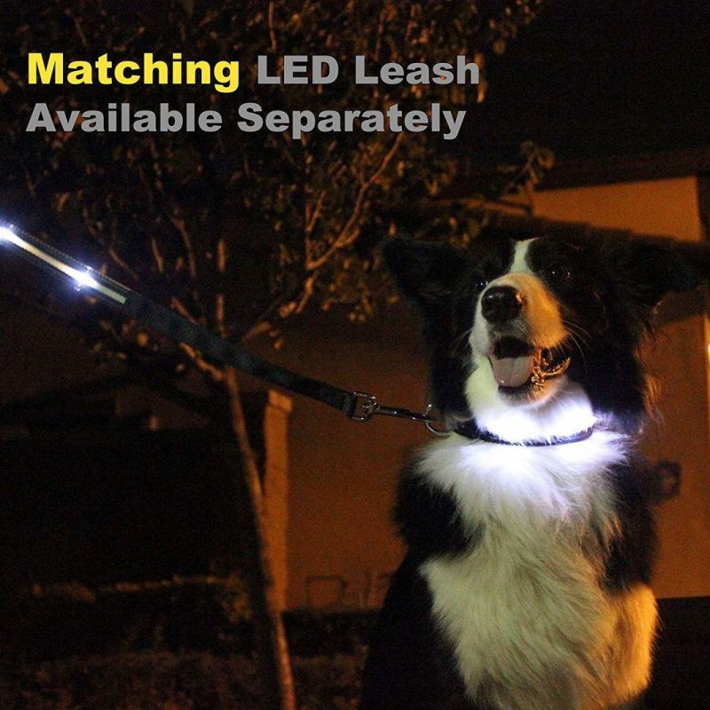 Hot Sale Stylish Nylon Waterproof Flashing Pet LED Dog Collar