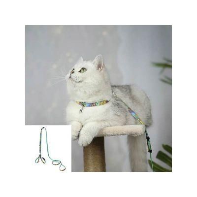 Free Sample Nylon Webbing with Digital Printing Strong Metal Spring Clip Cat Leash