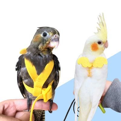 Pet Parrot Flying Rope Little Sun Parrot Monk Parrot