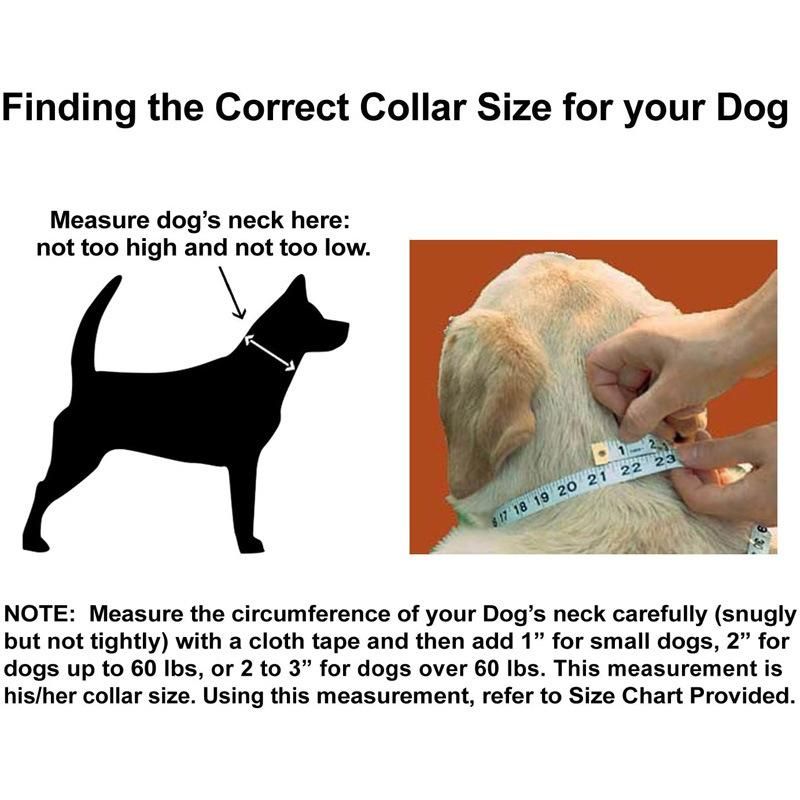 Classic Comfort Dog Collar Premium Nylon Neoprene Padded Dog Collar for Small, Medium, Large or Xlarge Sized Dogs