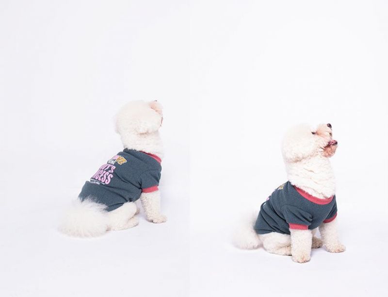 2022 Spring New Pet Clothes Big Dog Spring Clothes Wholesale Dog Clothes