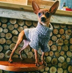 Wholesale Cool New Design Pet Product Dog Sweater Dog Clothes Fashion Pet Cat Sweater