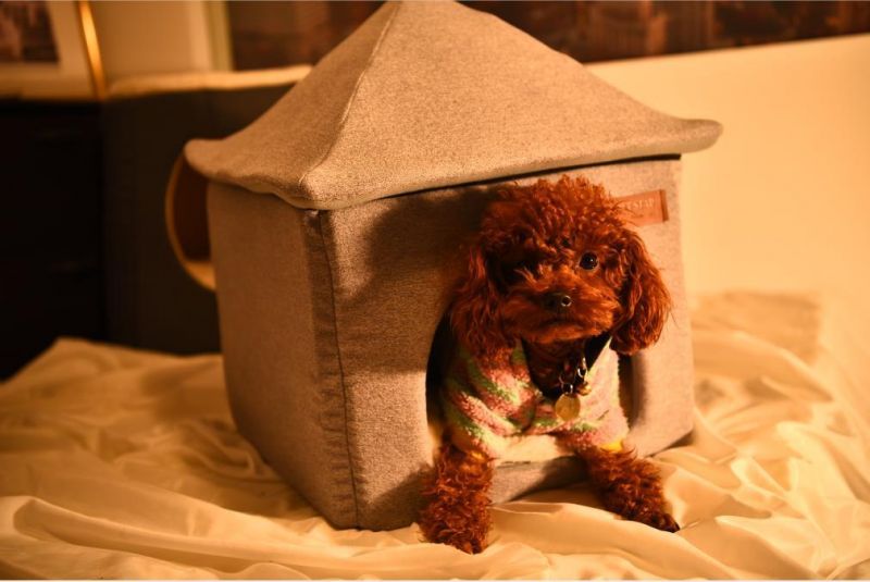 Two Ways Use Detachable Cat Dog Puppy Pet Bed House