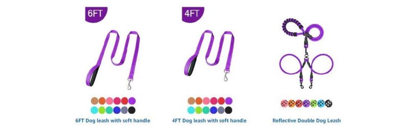 Reflective Nylon Dog Collar with Matching Leash