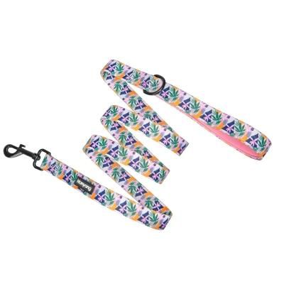 Hot Sale OEM Factory Luxury Dog Leash Dog Accessories