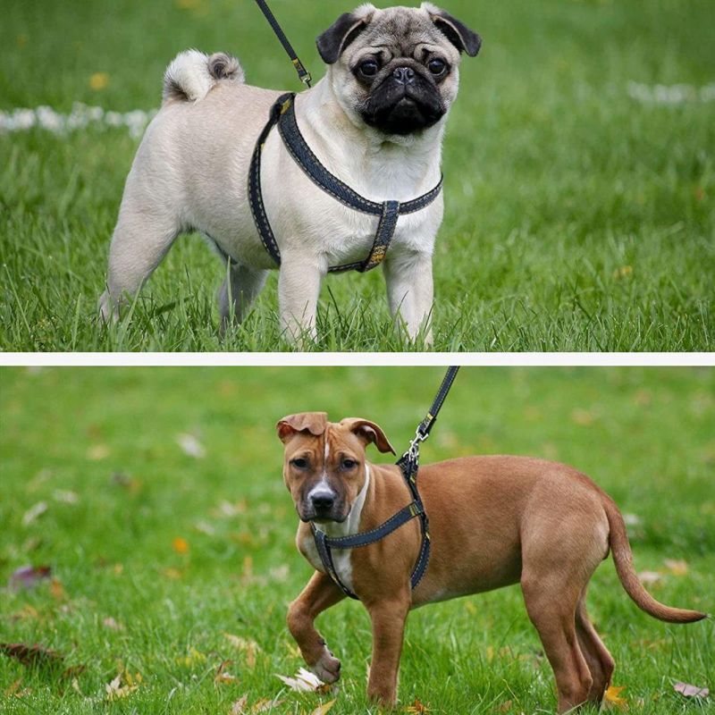 Pet Harness with Adjustable Pet Collar and Pet Leash Set