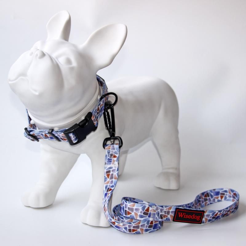 Personalized Custom Design Adjustable Pattern Nylon Dog Collars and Leashes