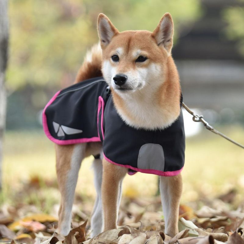 Blackdoggy Designer Pet Clothing Softshell Dog Coat Fleece Pet Jacket Clothes Mokofuwa