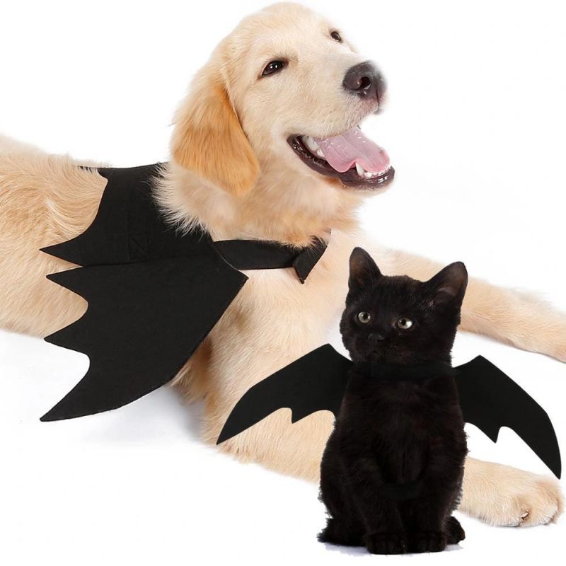 Pet Cat Accessories Bat Wings Dog Accessories China Factory