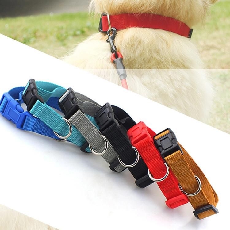 Multi-Colour Dog Collar Nylon Braided Pet Collar