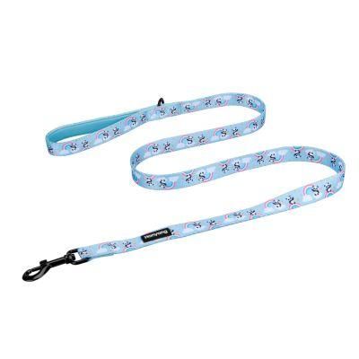 New Release OEM Manufacturer Classic Neoprene Dog Leash