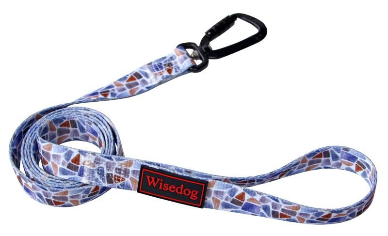 Personalized Custom Design Adjustable Pattern Nylon Dog Collars and Leashes