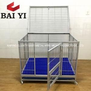 Double Layer Metal Tube Dog Kennel for Large Dogs