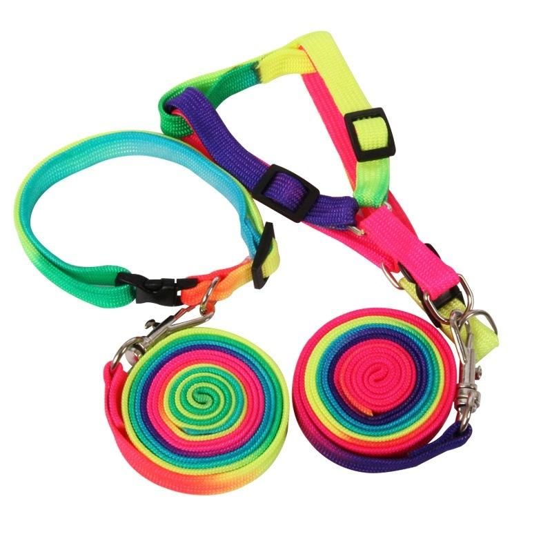 Rainbow Color Leash for Small Pet Teddy