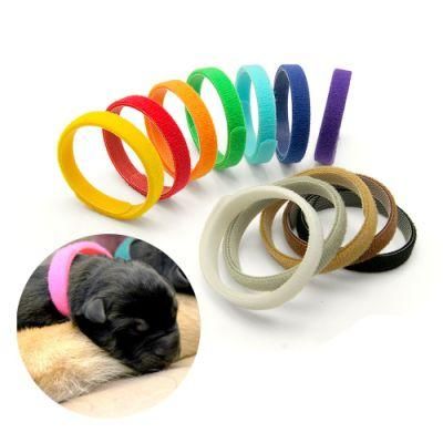 Delicate and Soft Adjustable Multicolor Pet Identification Collar