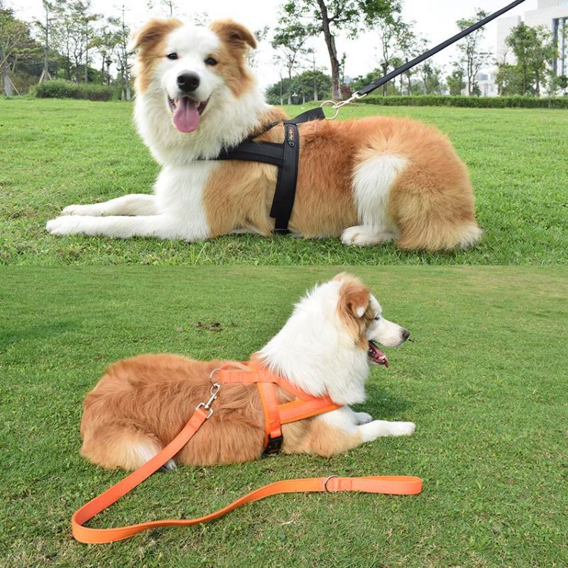 Soft and Breathable Neoprene Inside Strong Quality Nylon Webbing Outside Dog Harness with Dog Leash