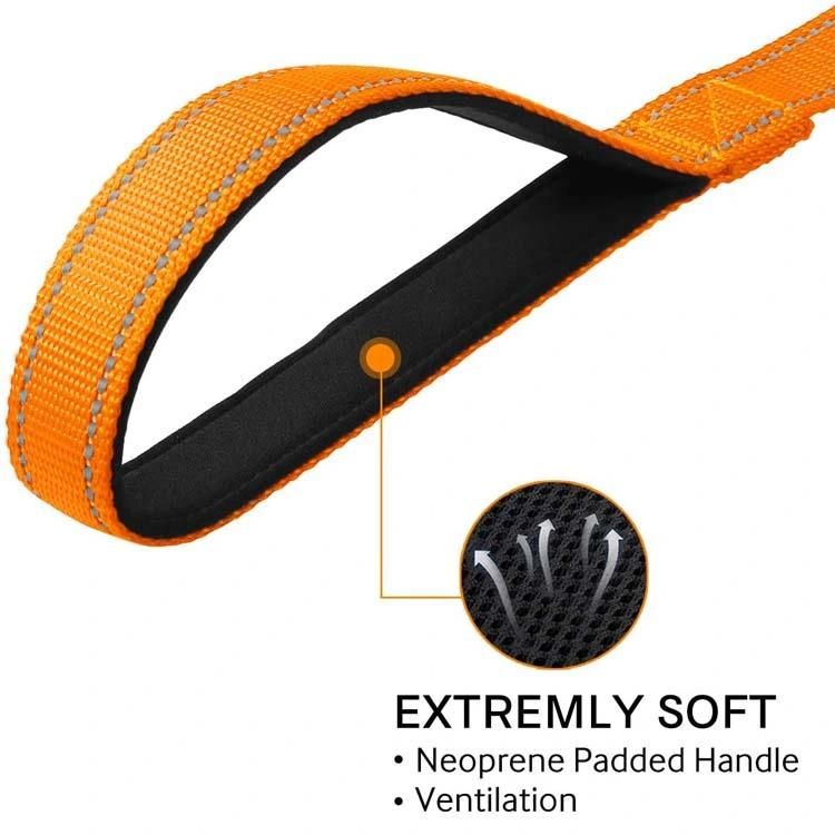 Safety Reflective Nylon Dog Leash for Walking Training, Easy to Grip Neoprene Padded Handle Dogs Leashes