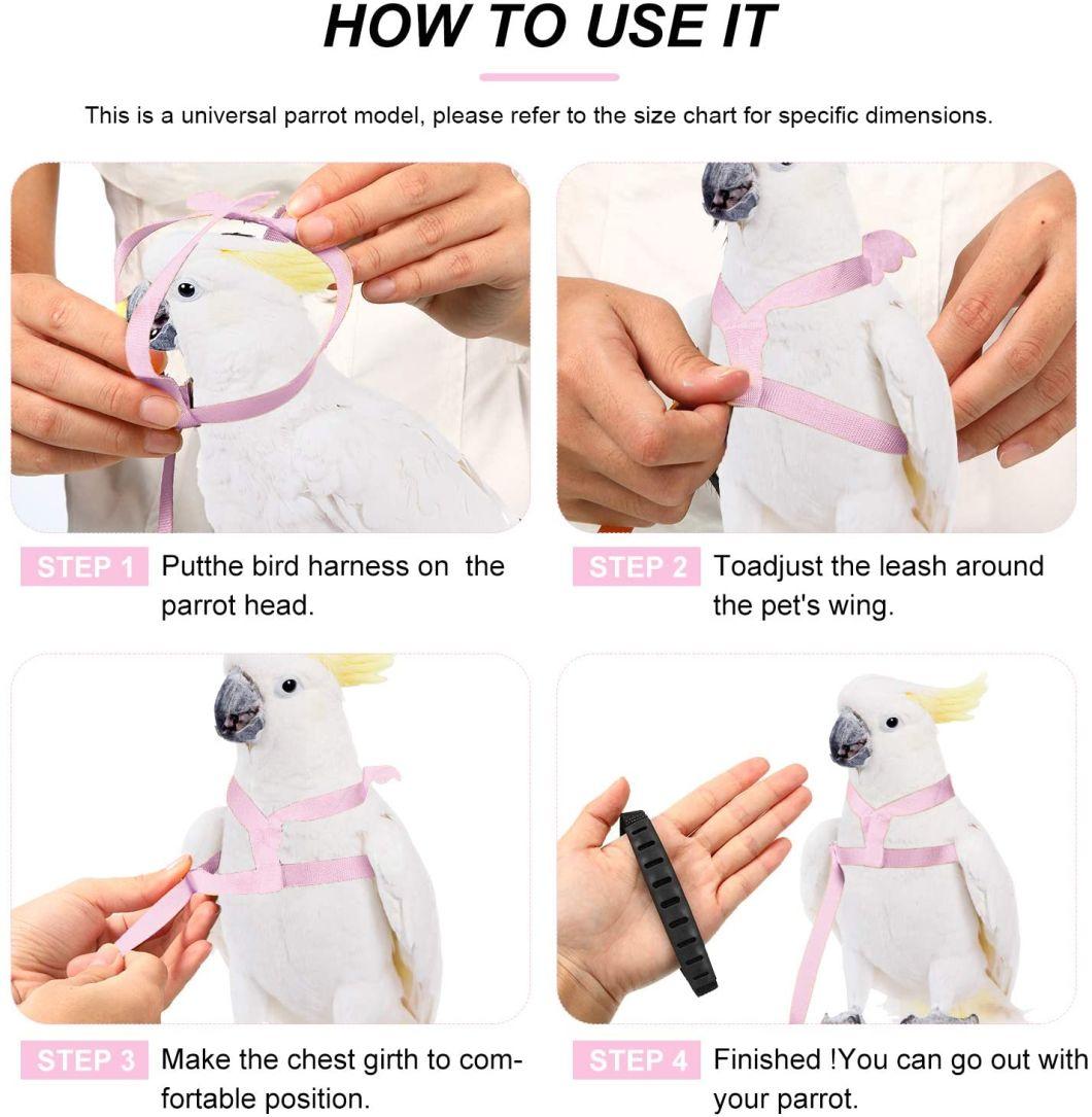 Pet Parrot Flying Rope Peony Parrot Xuanfeng Parrot