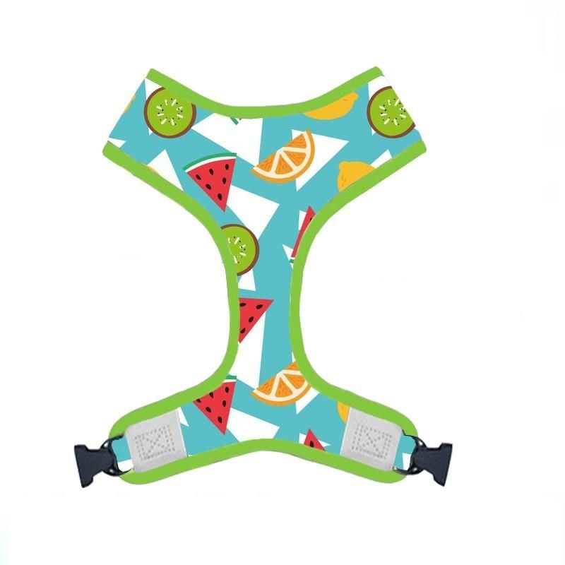 Soft and Comfortable Neoprene Padding Reversible Dog Harness