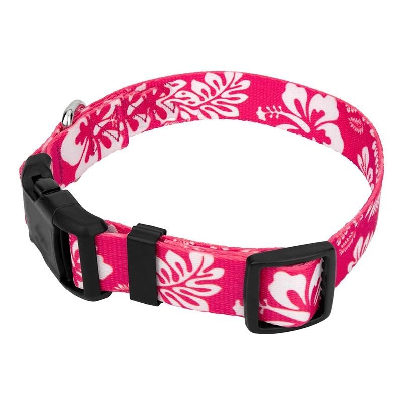 Premium Adjustable Neoprene Plastic Buckle Dog Collar