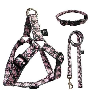 Luxury Pet Dog Vest Collars Harness Easy Walking Dog Harness with Leash Collar
