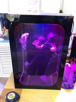 Mini Glass Tanks for Jellyfish with LED Lighting