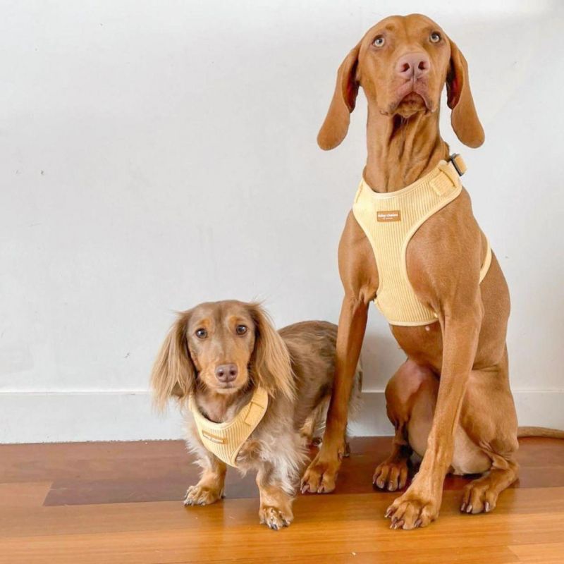 Velvet Corduroy Fabric Adjustable Dog Harness Collar Leash Set with Poop Bag Holder