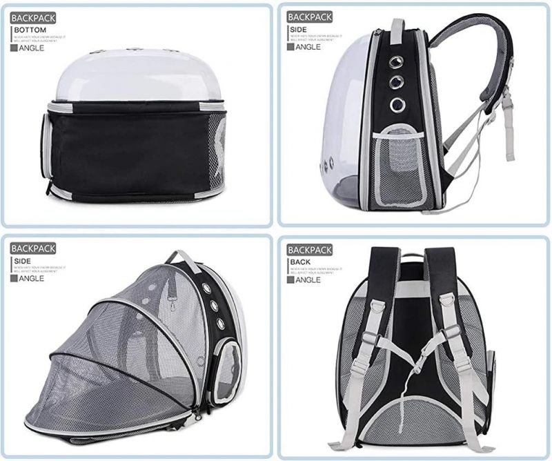 Transparent Multifunctional Foldable Travel Space Breathable Dog Pet Carrier