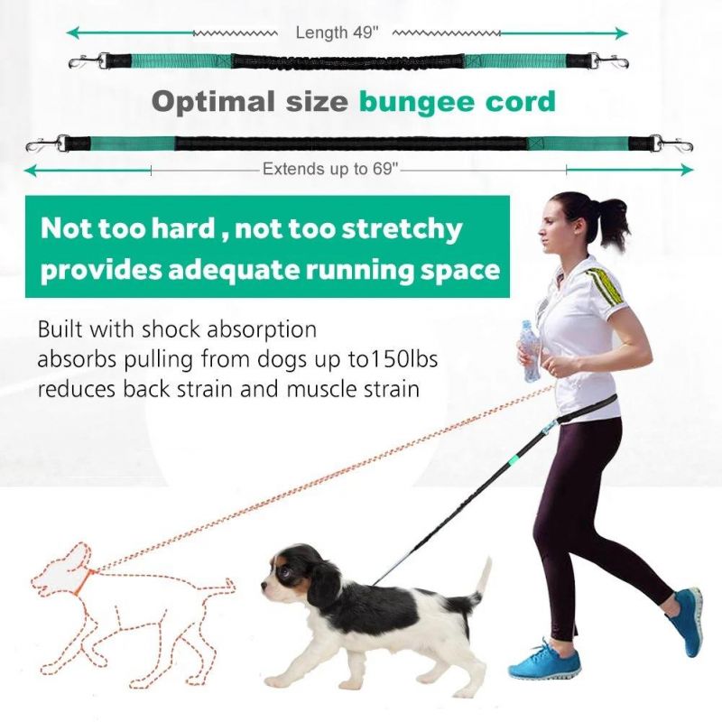 Dual-Handle Reflective Bungee Dog Leash