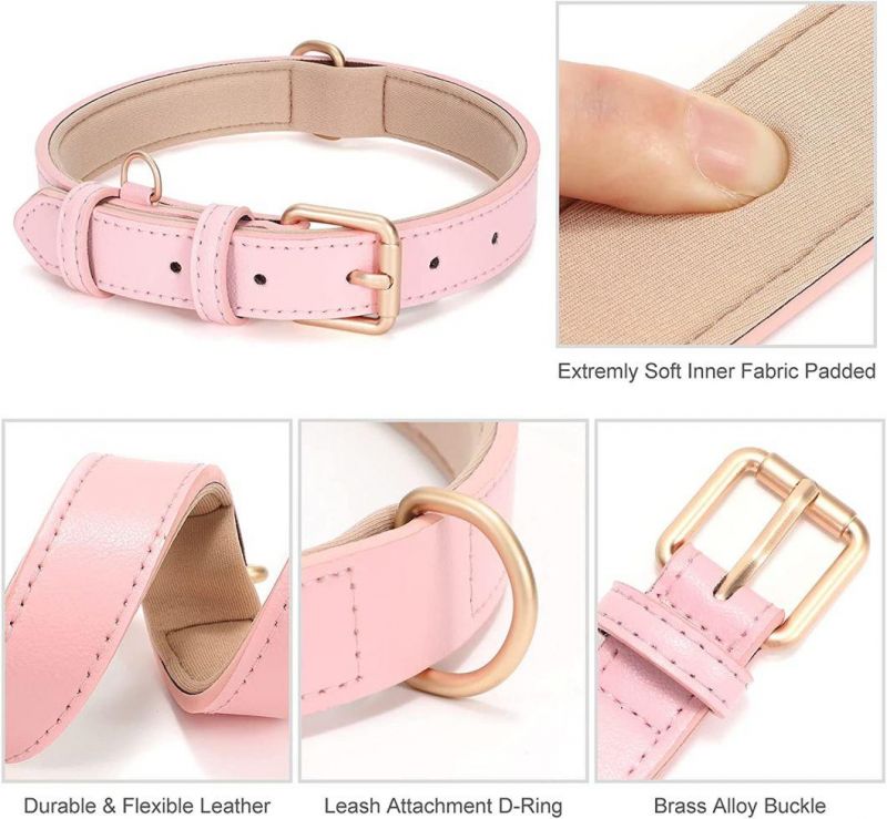 Adjustable Soft Breathable Leather Padded Puppy Collar with Alloy Buckle