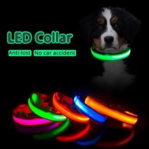Dogs Puppies Dog Collars Leads LED Supplies
