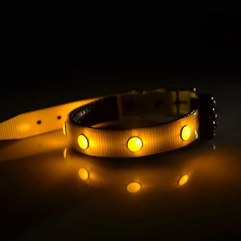 LED Light up Collar Jewel Style Dog Collar TPU Material
