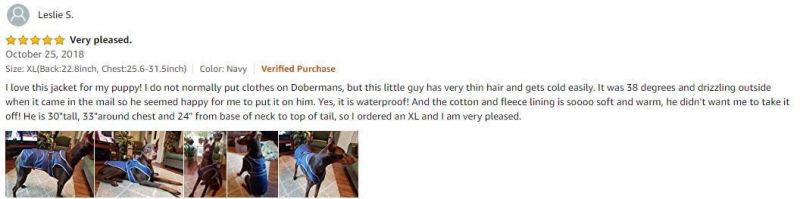 Dog Winter Clothes Dog Vest with Zipper Opening for Leash