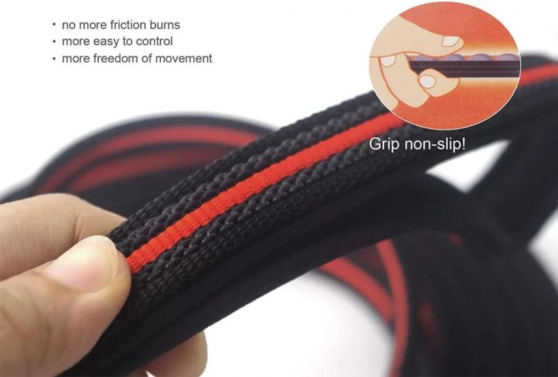 Red Dog Leash Strong Nylon Rope No Slip Rubber Stitched 6 FT Long with Handle